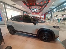 SGX (IVORY)